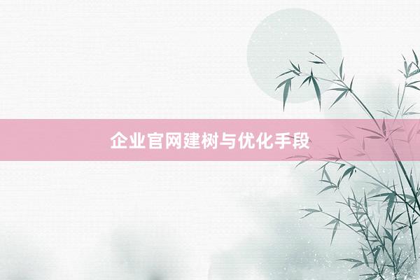 企业官网建树与优化手段
