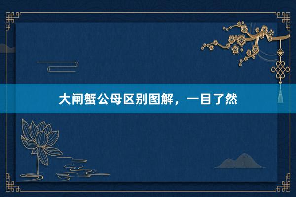 大闸蟹公母区别图解，一目了然